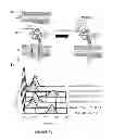 Fig. 02 - ENGINEERING CORRECTLY FOLDED ANTIBODIES USING INNER MEMBRANE DISPLAY OF TWIN-ARGININE TRANSLOCATION INTERMEDIATES