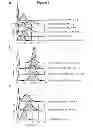 Fig. 06 - ENGINEERING CORRECTLY FOLDED ANTIBODIES USING INNER MEMBRANE DISPLAY OF TWIN-ARGININE TRANSLOCATION INTERMEDIATES