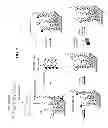 Fig. 02 - Methods of targeted sequencing