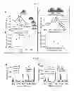 Fig. 07 - METHODS TO FORM SUBSTRATES FOR OPTICAL SENSING BY SURFACE ENHANCED RAMAN SPECTROSCOPY (SERS) AND SUBSTRATES FORMED BY THE METHODS