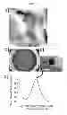 Fig. 09 - METHODS TO FORM SUBSTRATES FOR OPTICAL SENSING BY SURFACE ENHANCED RAMAN SPECTROSCOPY (SERS) AND SUBSTRATES FORMED BY THE METHODS