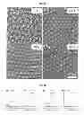 Fig. 13 - METHODS TO FORM SUBSTRATES FOR OPTICAL SENSING BY SURFACE ENHANCED RAMAN SPECTROSCOPY (SERS) AND SUBSTRATES FORMED BY THE METHODS