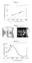 Fig. 14 - METHODS TO FORM SUBSTRATES FOR OPTICAL SENSING BY SURFACE ENHANCED RAMAN SPECTROSCOPY (SERS) AND SUBSTRATES FORMED BY THE METHODS