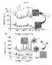 Fig. 19 - METHODS TO FORM SUBSTRATES FOR OPTICAL SENSING BY SURFACE ENHANCED RAMAN SPECTROSCOPY (SERS) AND SUBSTRATES FORMED BY THE METHODS