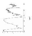 Fig. 08 - Crystalline forms of the mono-sodium salt of D-isoglutamyl-D-tryptophan
