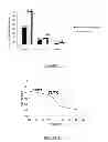 Fig. 02 - Composition comprising an amorphous non-crystalline glass form of roxithromycin