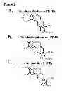 Fig. 02 - NOVEL METHODS OF USE OF TETRAHYDROBERBERINE (THB)