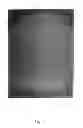 Fig. 07 - Stabilized crystal of 2-ethyl-3,7-dimethyl-6-(4-(trifluoromethoxy)phenoxy)quinoline-4-yl methyl carbonate, process for producing the crystal, and agricultural chemical composition comprising the crystal