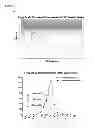 Fig. 09 - Compositions and Methods for Enhancing Proteasome Activity