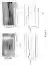 Fig. 08 - METHOD OF ANALYZING AND PROCESSING SIGNALS