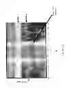 Fig. 22 - METHOD OF ANALYZING AND PROCESSING SIGNALS