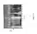 Fig. 24 - METHOD OF ANALYZING AND PROCESSING SIGNALS