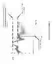 Fig. 29 - METHOD OF ANALYZING AND PROCESSING SIGNALS