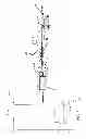 Fig. 04 - Two-stage switch for surgical device