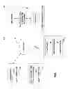 Fig. 02 - Dynamically generated phrase-based assisted input