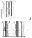 Fig. 09 - Storage and retrieval of dispersed storage network access information