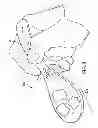 Fig. 04 - Chinese soup spoon