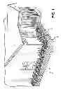 Fig. 02 - Decorative Low Maintenance Landscape Border