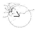 Fig. 01 - Piston positioned for reciprocal movement in a combustion engine cylinder