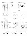 Fig. 09 - Dental Care Device