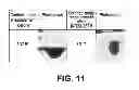Fig. 08 - Working/control fluid for heavy and extra-heavy crude wells