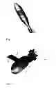 Fig. 02 - Shell arranged with extensible wings and guiding device