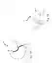 Fig. 02 - MULTIPURPOSE MAGNETIC COUPLINGS