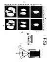 Fig. 05 - Polarization-entangled photon pair source and method for the manufacture thereof