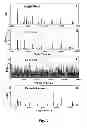 Fig. 09 - Electrostatic mass spectrometer with encoded frequent pulses