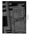 Fig. 09 - Hybrid photodiode/APD focal plane array for solid state low light level imagers