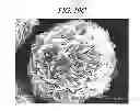 Fig. 46 - Method of preparing vanadosilicate molecular sieve and novel vanadosilicate molecular sieve