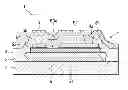Fig. 01 - Display device having a shield