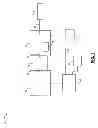 Fig. 02 - Adaptive control systems and methods for transmission solenoids