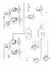 Fig. 02 - TRANSMISSION OF VIDEO CONTENT