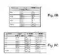 Fig. 09 - Read compensation for partially programmed blocks of non-volatile storage