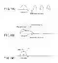 Fig. 17 - Semiconductor memory device capable of shortening erase time