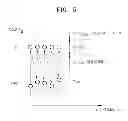 Fig. 06 - Nonvolatile memory devices and methods of driving the same