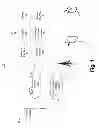 Fig. 02 - Data gathering for a node