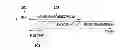 Fig. 01 - METHOD FOR COLLISION AVOIDANCE IN WIRELESS NETWORKS AND APPARATUS FOR THE SAME