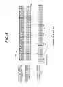Fig. 06 - Wireless communication method, mobile station apparatus, wireless communication system and integrated circuit