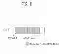 Fig. 09 - DEVICE AND METHOD FOR TRANSMITTING DOWNLINK CONTROL INFORMATION IN A WIRELESS COMMUNICATION SYSTEM