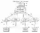 Fig. 01 - Hybrid broadcast packet replication for virtual local area networks