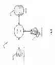 Fig. 02 - Generation of document fingerprints for identification of electronic document types