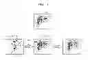 Fig. 06 - Method and apparatus for generating organ image