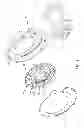 Fig. 02 - COOLING DEVICE FOR HYDRAULIC BRAKING SYSTEMS