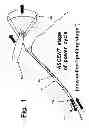 Fig. 02 - SPINNAKER SAILS FROM INTERWOVEN STRAPS FOR GENERATING ELECTRIC POWER FROM WIND