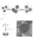 Fig. 02 - Method of manufacturing spherical mesoporous silica containing dispersed silver nanoparticles, and spherical mesoporous silica manufactured by said method