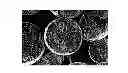Fig. 01 - Loadable polymeric particles for therapeutic and/or diagnostic applications and methods of preparing and using the same