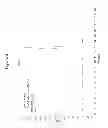 Fig. 04 - ADHESIVE SLOW-RELEASE FORMULATIONS FOR THE LOCAL ADMINISTRATION OF CURCUMIN