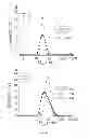Fig. 07 - Compositions and Methods for the Treatment of Lung Inflammation
